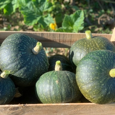 Cabaz&#x20;da&#x20;Semana&#x20;&#x7C;&#x20;SUBSCRI&#x00C7;&#x00C3;O