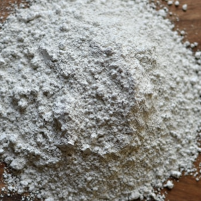 Terra&#x20;Diatom&#x00E1;ceas&#x20;Micronizada&#x20;20kg