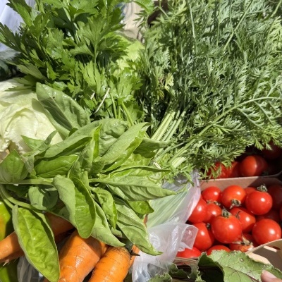 Cabaz&#x20;da&#x20;Semana&#x20;&#x7C;&#x20;SUBSCRI&#x00C7;&#x00C3;O