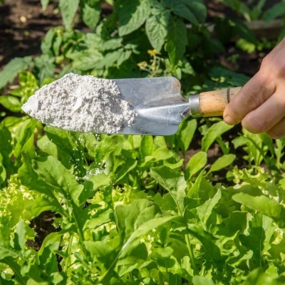 Terra&#x20;Diatom&#x00E1;ceas&#x20;Micronizada&#x20;20kg