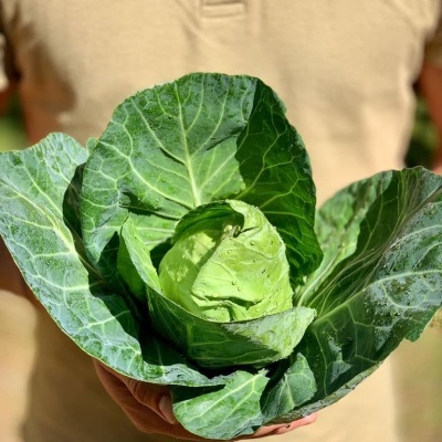 Cabaz&#x20;da&#x20;Semana&#x20;&#x7C;&#x20;SUBSCRI&#x00C7;&#x00C3;O