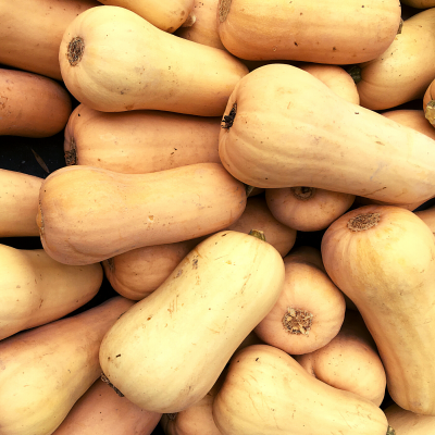 Ab&#x00F3;bora&#x20;Butternut&#x20;uni