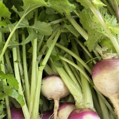 Nabo&#x20;com&#x20;rama&#x20;uni