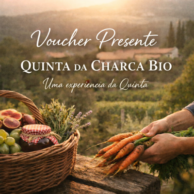 Vale ao pôr do sol com cesta de frutas e ervas e mãos a segurar cenouras