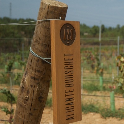 Adega 23 - Tinto - PACK 6 Adega 23 - Tinto - PACK 6