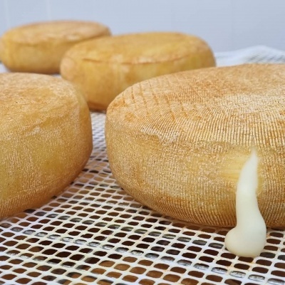 Queijo de Ovelha "à Ovelheira" (MERENDEIRA)