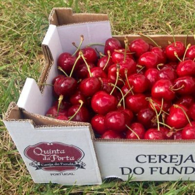 4 Caixas de Cerejas (8 Kg) - Family Pack 4 Caixas de Cerejas (8 Kg) - Family Pack
