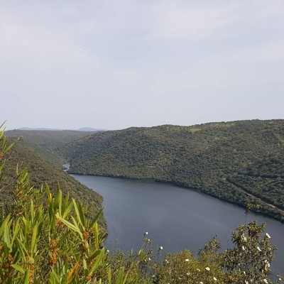 Queijo de Mistura (Ovelha e Cabra) "à Cabreira" Queijo de Mistura (Ovelha e Cabra) "à Cabreira"
