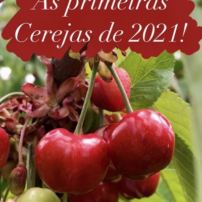 Caixa de Cerejas (2 Kg) - as primeiras!