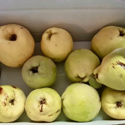 Caixa de Marmelos Caixa de Marmelos