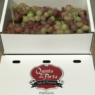Caixa de Uvas Caixa de Uvas