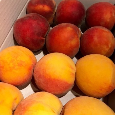 Compota de Cereja e Pêssego do Fundão - Pack 6 Compota de Cereja e Pêssego do Fundão - Pack 6