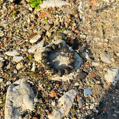 Pulseira elástica com contas pretas e douradas