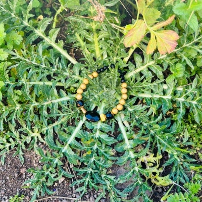 Pulseira de contas de madeira e pretas sobre plantas verdes e solo com pedras.