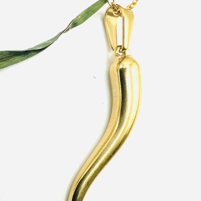 Colar Corno: Elegância e Proteção Contra Más Energias!