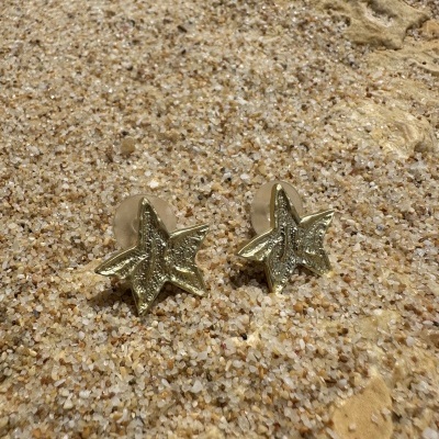 Brincos Pequenos em Forma de Estrela Dourada  – Luxo Intemporal Inspirado no Mar! 🌊✨