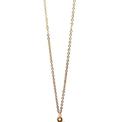 Atraente colar com elefante. Precisa comprar já!