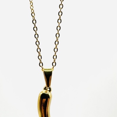 Colar Corno: Elegância e Proteção Contra Más Energias!