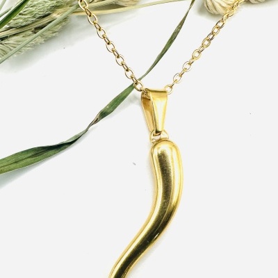 Colar Corno: Elegância e Proteção Contra Más Energias!