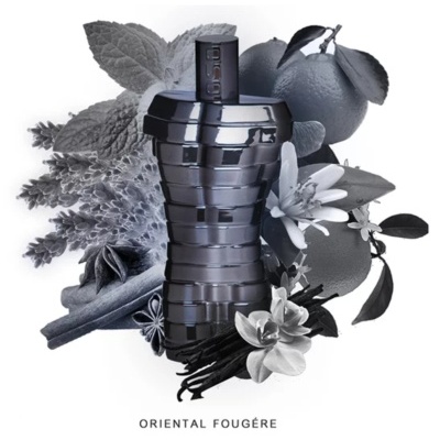 Oso Perfect Men 100ml Eau de Toilette - Linn Young Fragrance