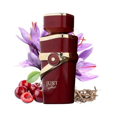 Just Anabi 100ml Eau de Parfum - Fragrance World