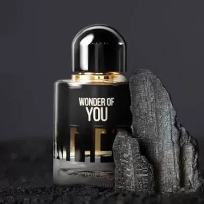 Wonder of You Pour Homme 100ml Eau de Parfum - RiiFFS