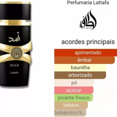 Asad 100ml Eau de Parfum - Lattafa
