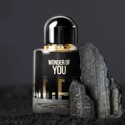 Wonder of You Pour Homme 100ml Eau de Parfum - RiiFFS