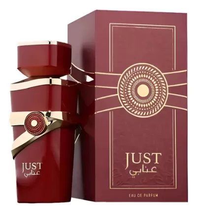 Just Anabi 100ml Eau de Parfum - Fragrance World
