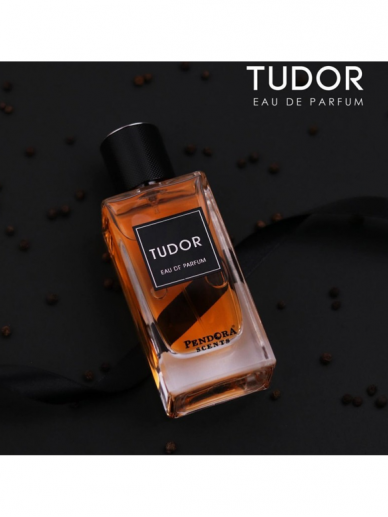 Tudor 100ml Eau de Parfum - Pendora Scents