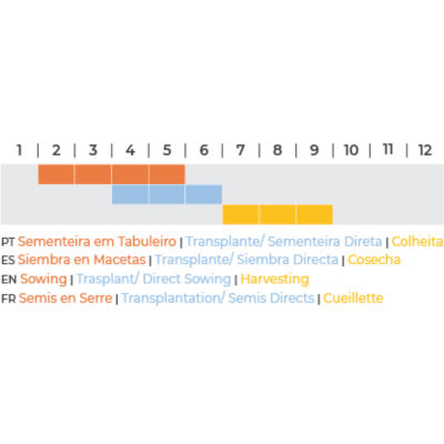Pimento De Cayenne BIO (Sementes Vivas)