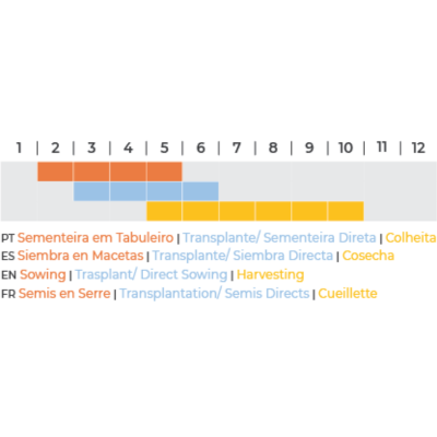 Gráfico de calendário agrícola com cores para fases de sementeira, transplante e colheita