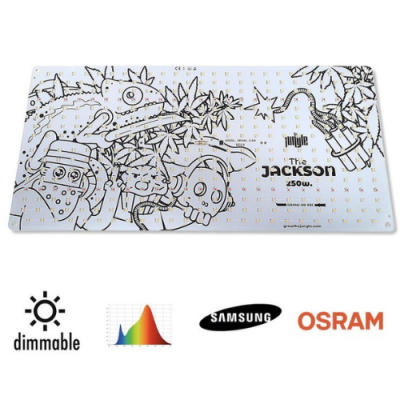 The Jackson 250W LED