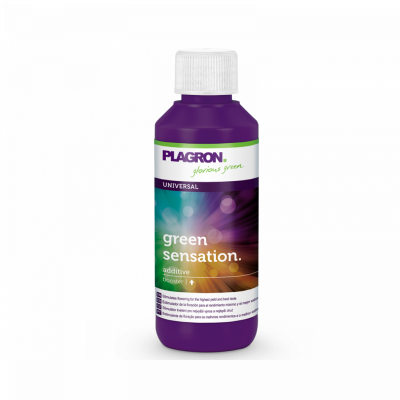 Green Sensation 100ml