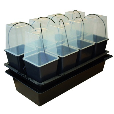 Equipamento Hidropónico Wilma 8 (48/72h)