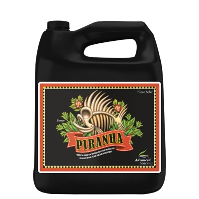 Piranha Liquid 4L