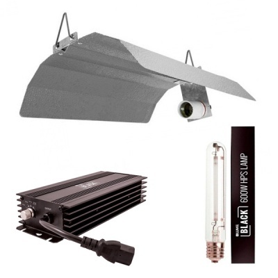 Kit 600w Lumii Black Eletrónico