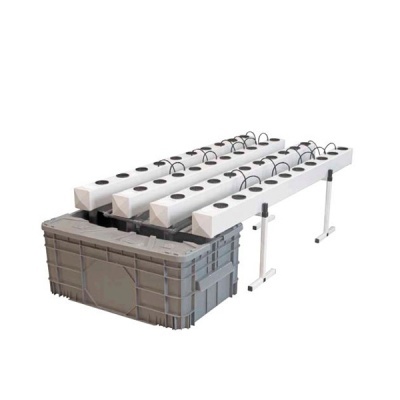 GROWSTREAM 40 (48/72h)