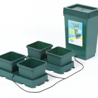 Easy2grow XL 4 - Deposito 47L (48/72h)