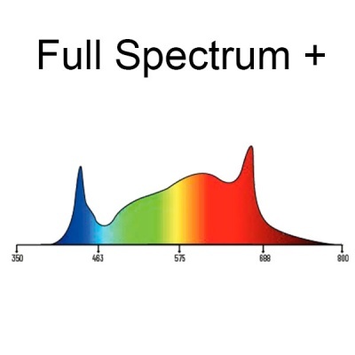 Gráfico colorido do espectro de luz Full Spectrum + com escala numérica.