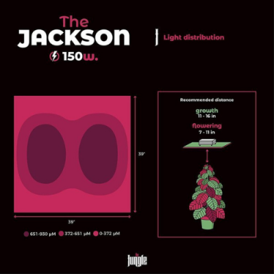 The Jackson V1 150W LED