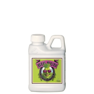 Big Bud Liquid 250ml