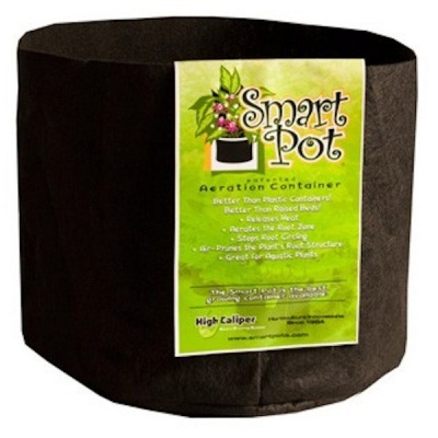 Smart Pot 1 Gallon (3,8 L)