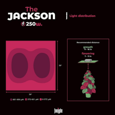 The Jackson 250W LED