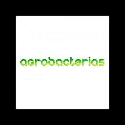 Agrobacterias