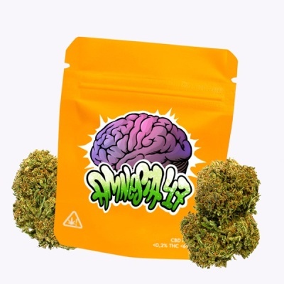 Gorilla Grillz CBD Outdoor Amnesia 47