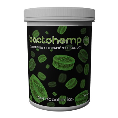 Bactohemp Tabs 250unid