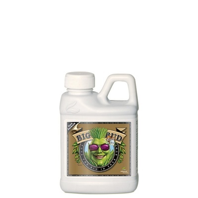 Big Bud COCO Liquid 250ml