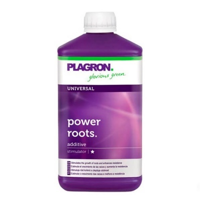 Power Roots 1L