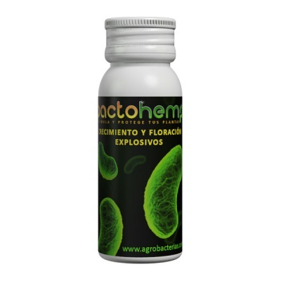 Bactohemp 10g